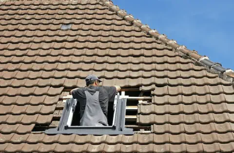 Pose de velux - Chasselay